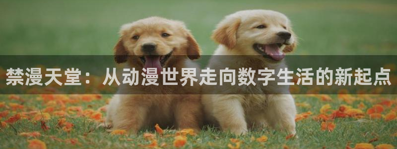managereader漫画官网入口：禁漫天堂：从动漫世界走向数字生活的新起点