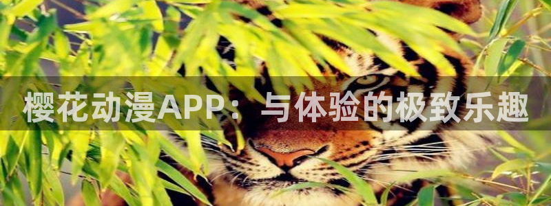 拷贝漫画 copymanager.ory网站：樱花动漫APP：与体验的极致乐趣
