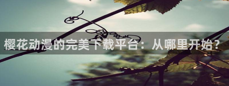 age专注动漫的门户网站