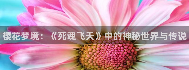 樱花动漫官网网址