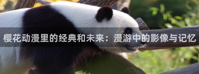 managereader漫画官网入口：樱花动漫里的经典和未来：漫游中的影像与记忆