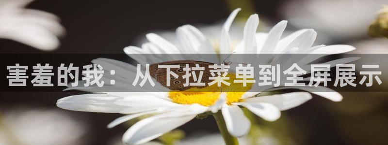 managereader漫画官网入口：害羞的我：从下拉菜单到全屏展示