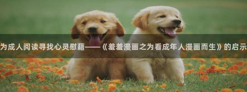 樱花动漫omofun：为成人阅读寻找心灵慰藉——《羞羞漫画之为看成年人漫画而生》的启示